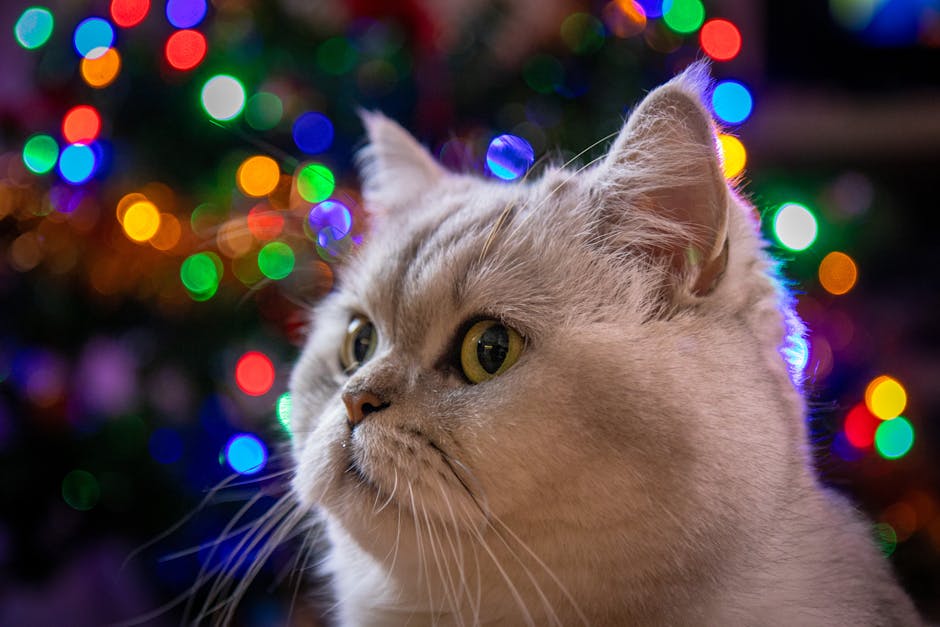 How to Quickly Determine Your Missing Five Elements?