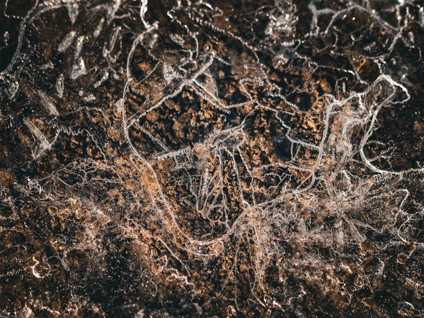 Exclusive reveal: The precise layout method of Five Elements crystals, how can it make your fortune soar?