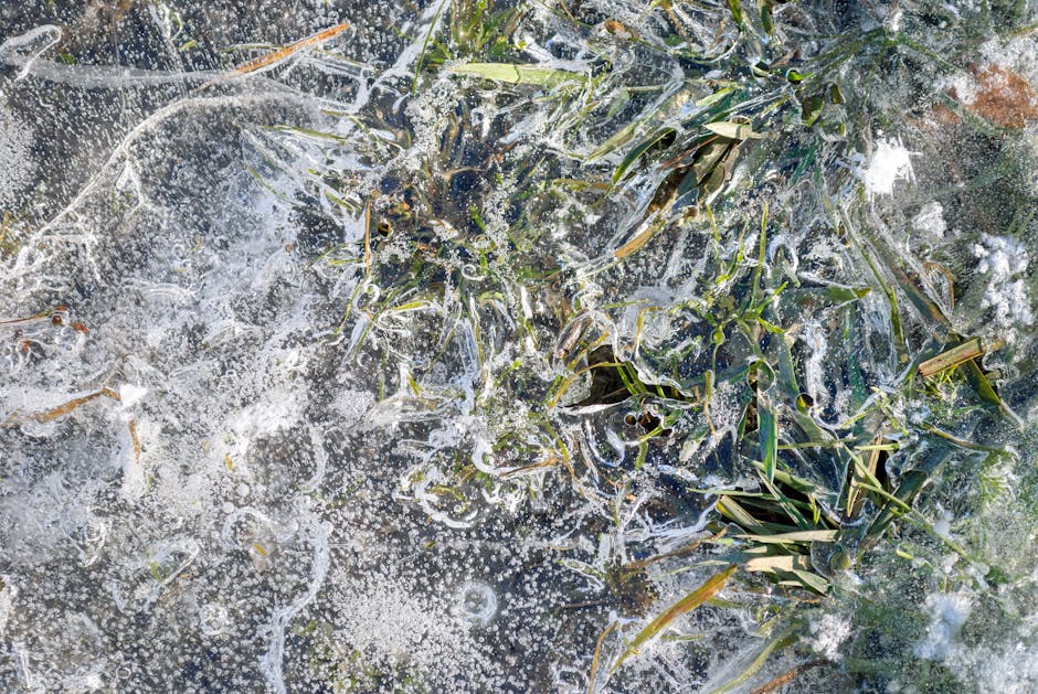 When the Fire and Metal Elements Are Insufficient, Our Hearts Quietly Tell Us